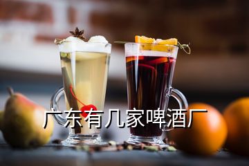 广东有几家啤酒厂