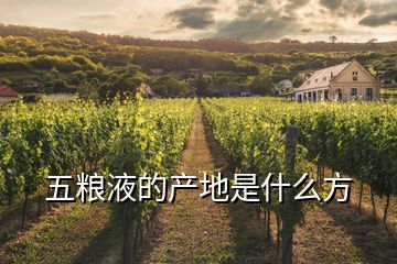 五粮液的产地是什么方
