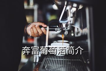 奔富葡萄酒简介