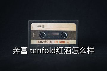 奔富 tenfold红酒怎么样