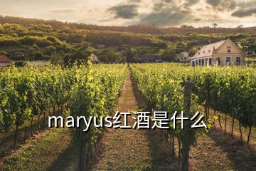 maryus红酒是什么