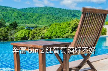 奔富 bin 2 红葡萄酒好不好