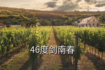 46度剑南春