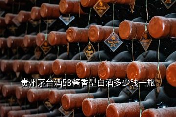 贵州茅台酒53酱香型白酒多少钱一瓶