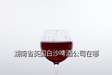 湖南省英国白沙啤酒公司在哪