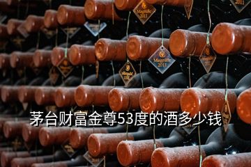 茅台财富金尊53度的酒多少钱