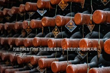 万能的网友们你们知道银酱酒是什么类型的酒吗前两天喝了一次还