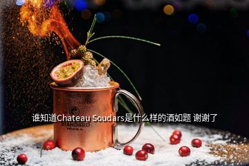 谁知道Chateau Soudars是什么样的酒如题 谢谢了