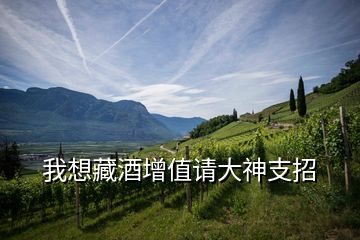 我想藏酒增值请大神支招