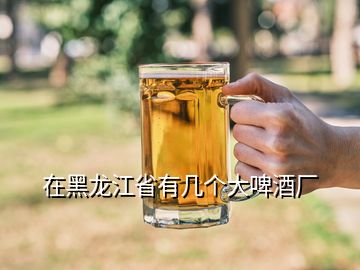 在黑龙江省有几个大啤酒厂