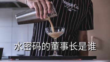 水密码的董事长是谁