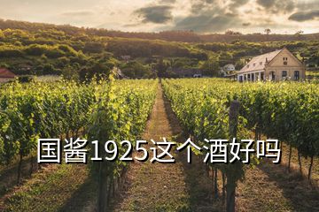 国酱1925这个酒好吗