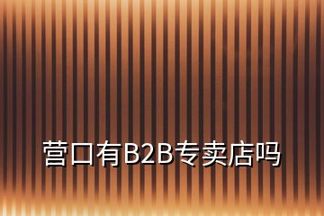 营口有B2B专卖店吗