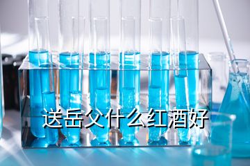 送岳父什么红酒好