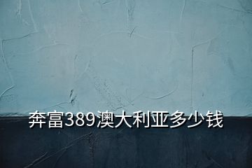 奔富389澳大利亚多少钱