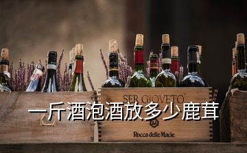 一斤酒泡酒放多少鹿茸