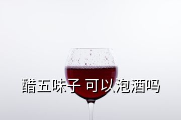 醋五味子 可以泡酒吗