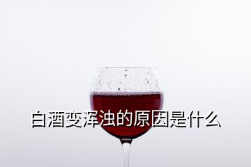 白酒变浑浊的原因是什么