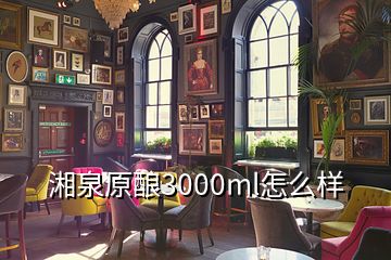 湘泉原酿3000ml怎么样