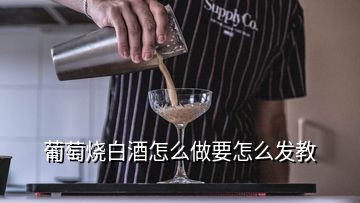 葡萄烧白酒怎么做要怎么发教