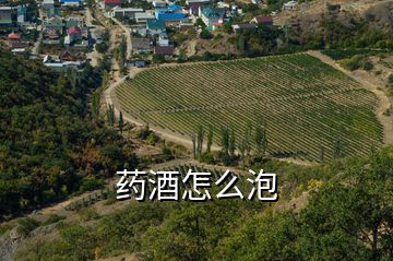 药酒怎么泡