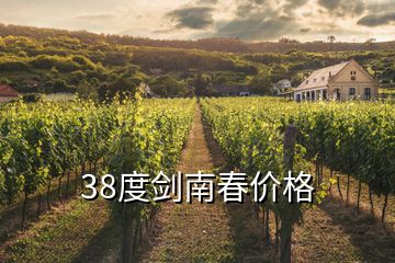 38度剑南春价格