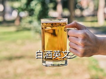 白酒英文