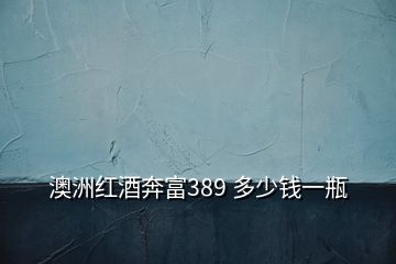 澳洲红酒奔富389 多少钱一瓶