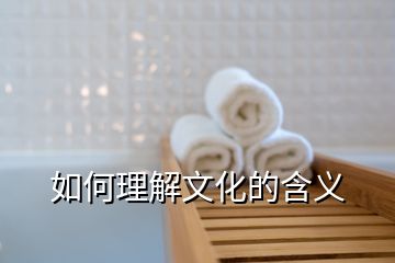 如何理解文化的含义