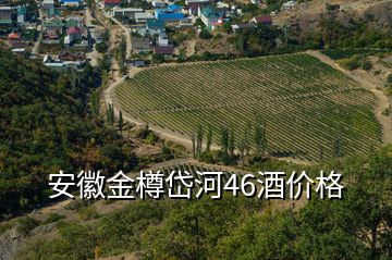 安徽金樽岱河46酒价格