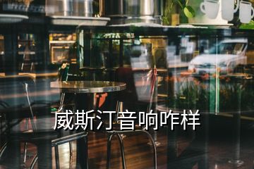 威斯汀音响咋样