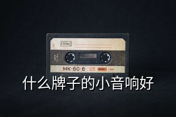 什么牌子的小音响好