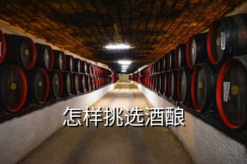 怎样挑选酒酿