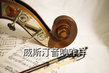 威斯汀音响咋样