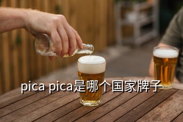 pica pica是哪个国家牌子