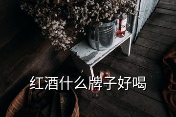 红酒什么牌子好喝