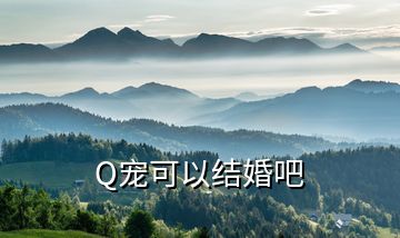 Q宠可以结婚吧