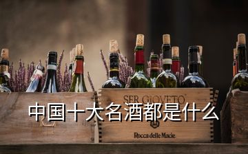 中国十大名酒都是什么