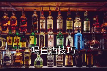 喝白酒技巧