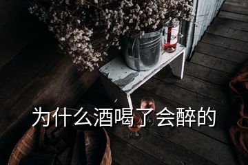 为什么酒喝了会醉的