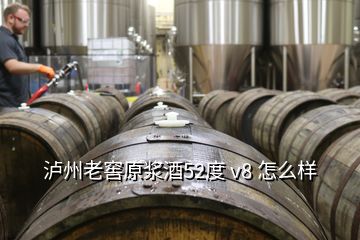 泸州老窖原浆酒52度 v8 怎么样