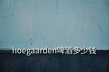 hoegaarden啤酒多少钱