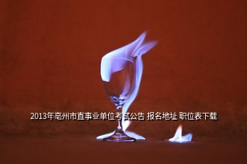 2013年亳州市直事业单位考试公告 报名地址 职位表下载