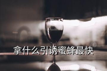 拿什么引诱蜜蜂最快