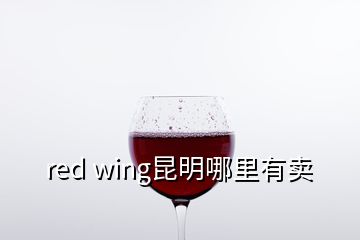 red wing昆明哪里有卖