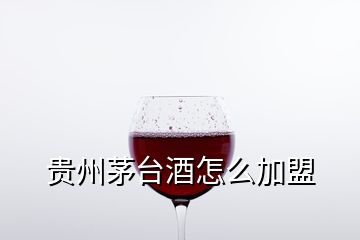 贵州茅台酒怎么加盟