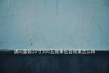 请问雷顿10寸300瓦做重低音效果怎么样