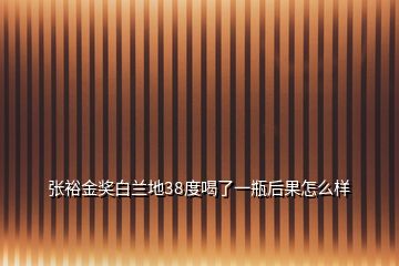 张裕金奖白兰地38度喝了一瓶后果怎么样