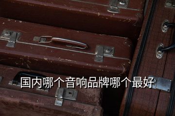 国内哪个音响品牌哪个最好