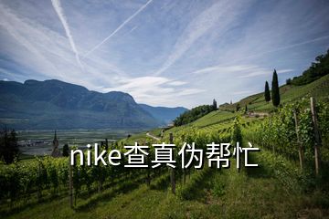 nike查真伪帮忙